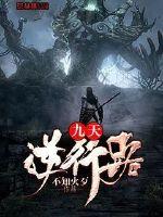 九天逆行路封面