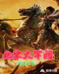 北宋大军阀封面