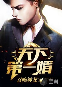 天下第一婿封面