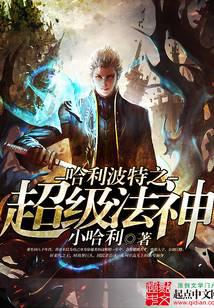 哈利波特之超级法神封面