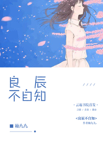 良辰不自知封面