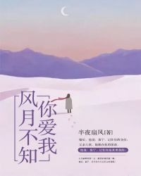 风月不知你爱我封面
