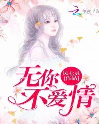 无你不爱情封面