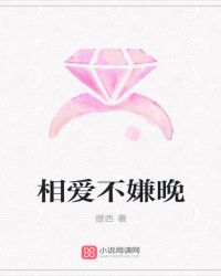 相爱不嫌晚封面