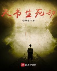 天书生死劫封面