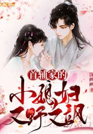 首辅家的小媳妇又野又飒封面