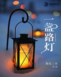 一盏路灯封面