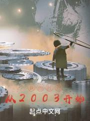 我的时代从2003开始封面