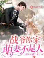 战爷,你家萌妻不是人封面