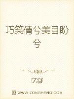 巧笑倩兮美目盼兮封面