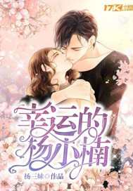 幸运的杨小楠封面