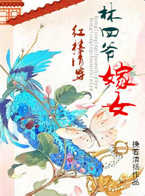林四爷嫁女封面
