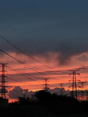 老男人末世求生封面