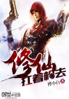 扛着枪去修仙封面