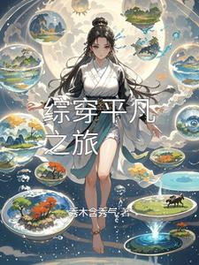 综穿平凡之旅封面