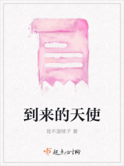 到来的天使封面