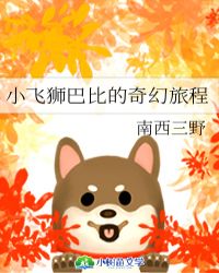 小飞狮巴比的奇幻旅程封面