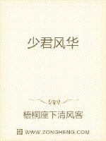 少君风华封面