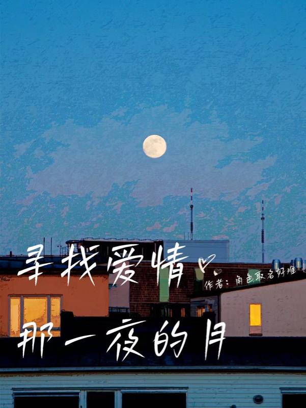 寻找爱情那一页的月封面