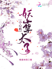 妖孽太子小心机封面