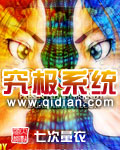 究极系统封面
