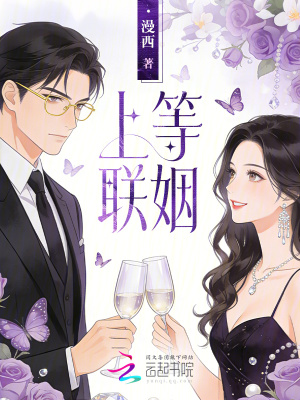 上等联姻封面