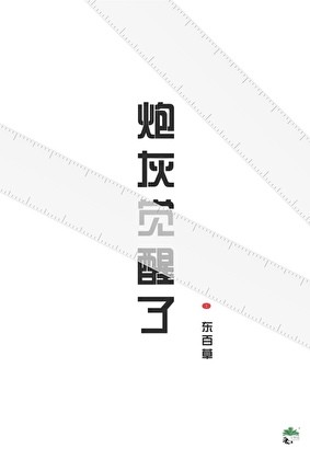 炮灰觉醒了封面