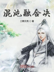 混沌融合决封面