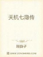 天机七隐传封面