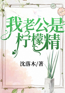 我老公是柠檬精封面