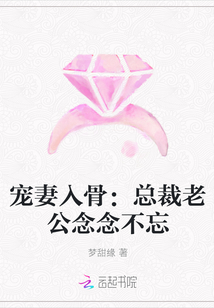 宠妻入骨：总裁老公念念不忘封面