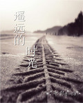遥远的时光封面