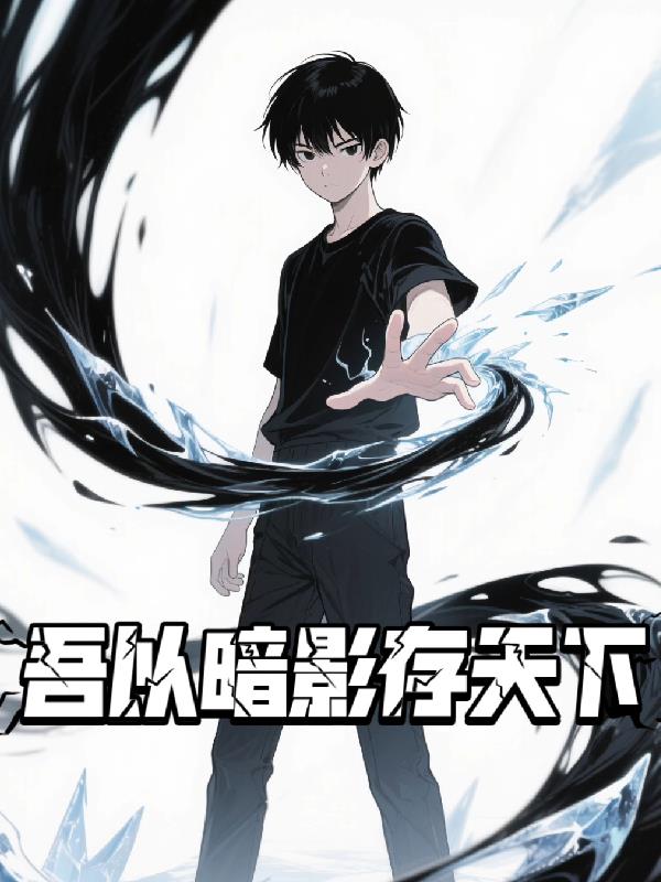 吾以暗影存天下封面