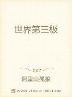 世界第三极封面