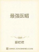 最强医婿封面