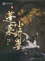 蓬莱小娇妻封面