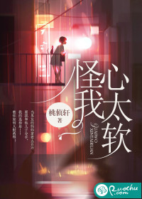 怪我心太软封面