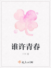 谁许青春封面