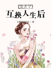 与大V互换人生后封面