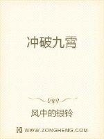 冲破九霄封面