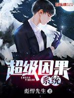 超级因果系统封面