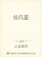 仙凡鉴封面