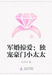 军婚掠爱：独宠豪门小太太封面