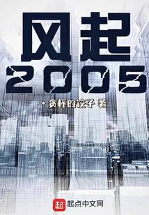 风起2005封面