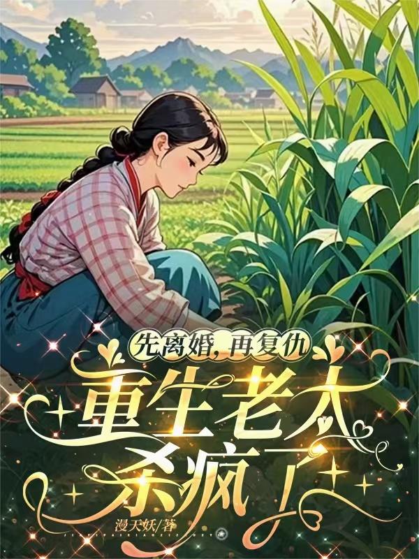 先离婚，再复仇，重生老太杀疯了封面