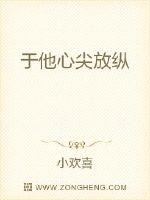 于他心尖放纵封面