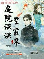 庭院深深空寂寥封面