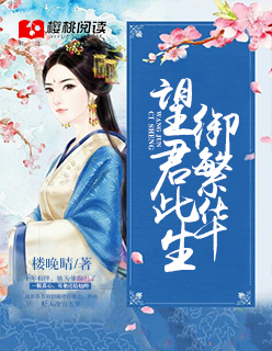 望君此生御繁华封面