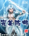 完美防御封面