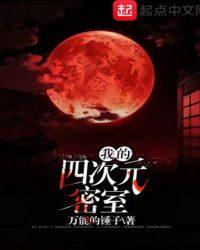 我的四次元密室封面